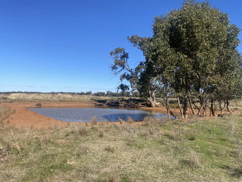 Additional image 8 of 382 Jones Lane, Condobolin NSW 2877