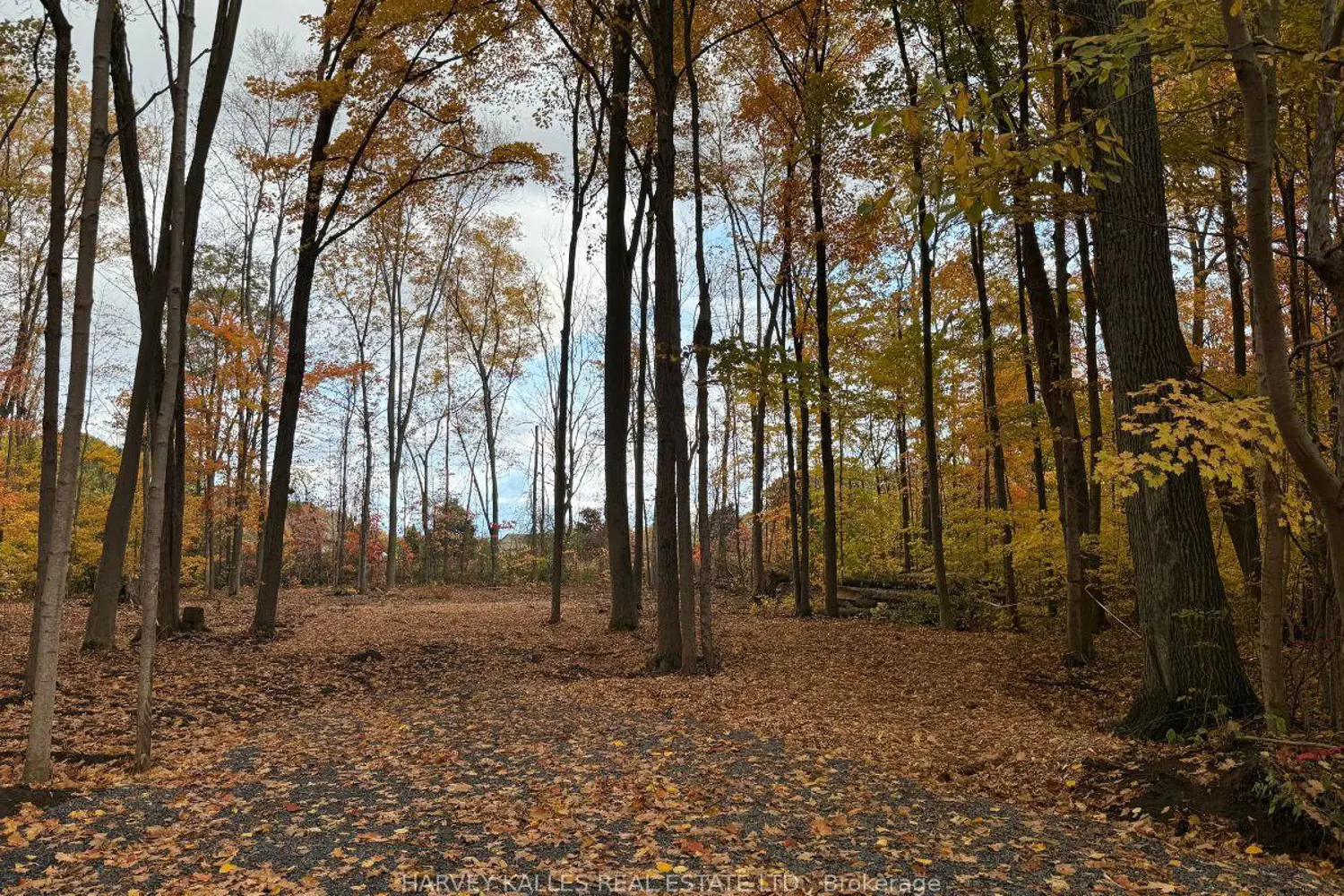 Additional image 3 of 0 Oakwood Lane