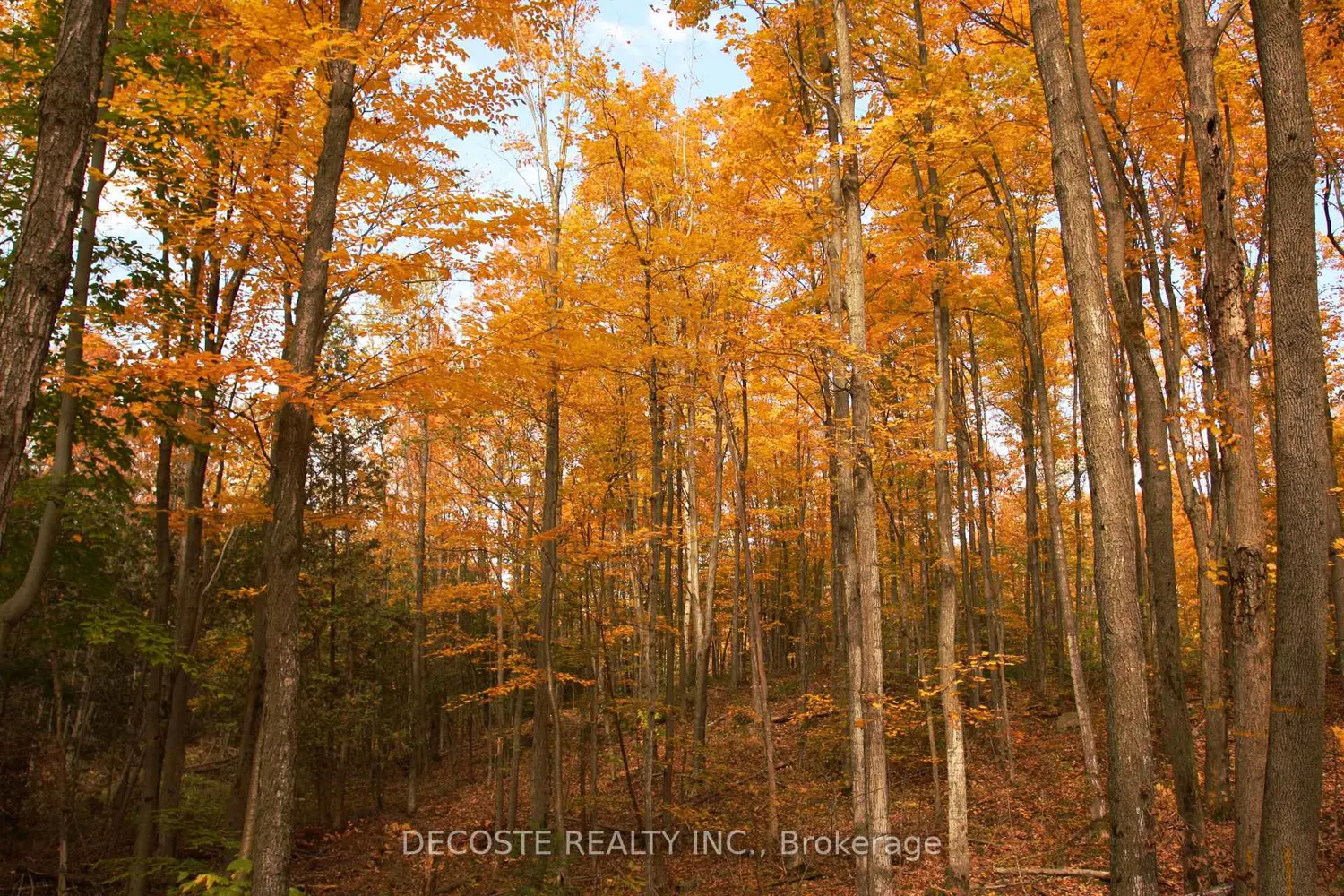 Additional image 13 of 0000 County 43 Road