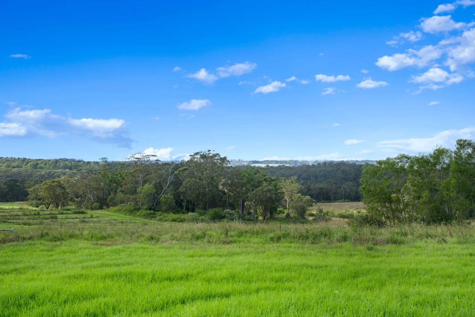 Additional image 17 of Lillicrapps Road, Mangrove Mountain NSW 2250