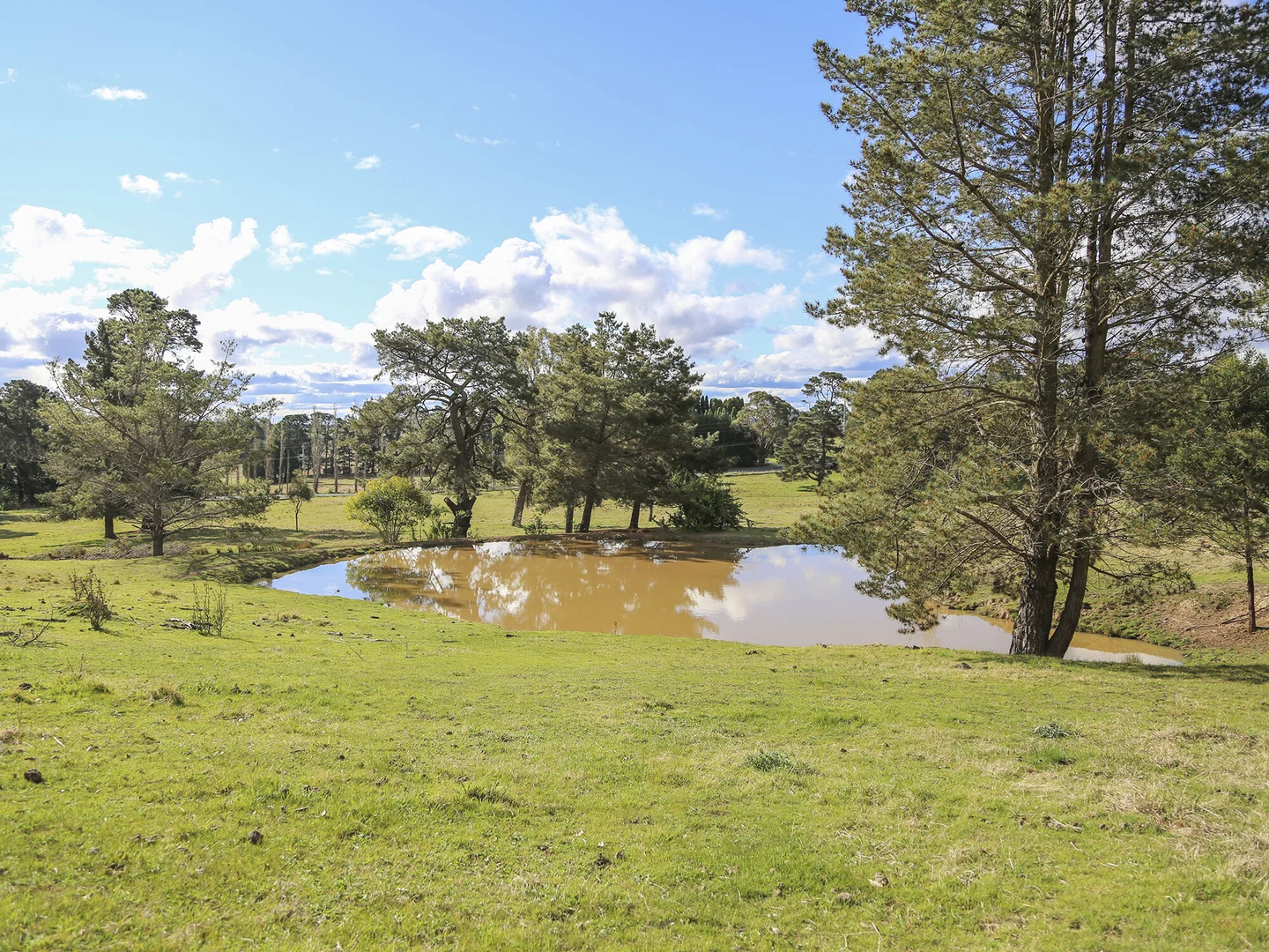 Additional image 5 of 7031 Illawarra Highway, Moss Vale NSW 2577