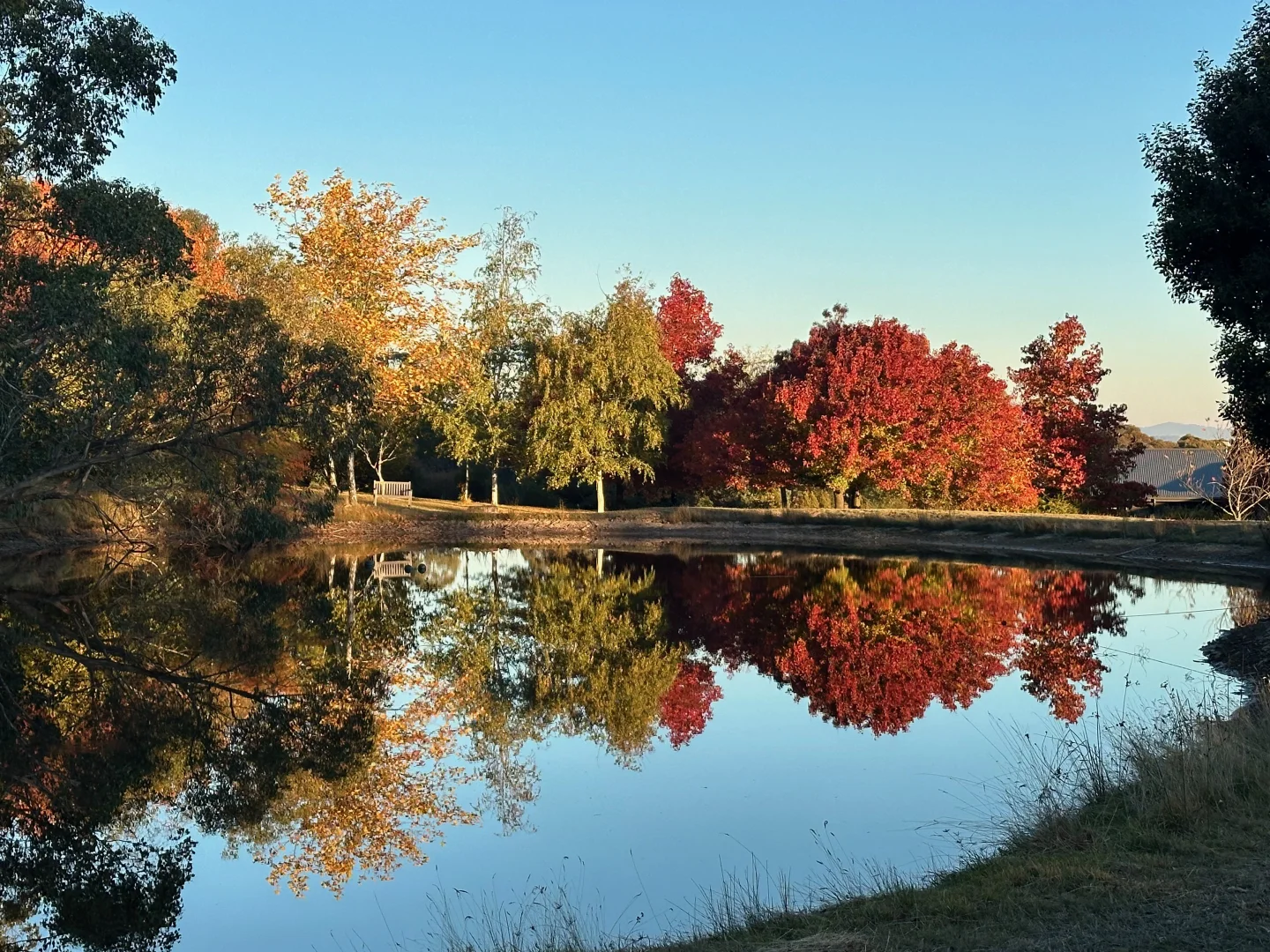 Additional image 5 of 696 Glenroy Road, Merrijig VIC 3723