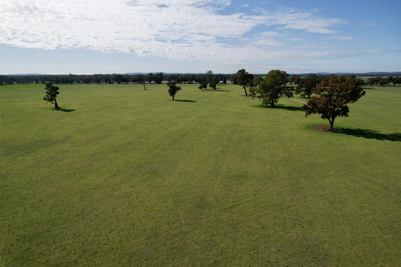 Additional image 5 of 2791 Sturt Highway, Wagga Wagga NSW 2650