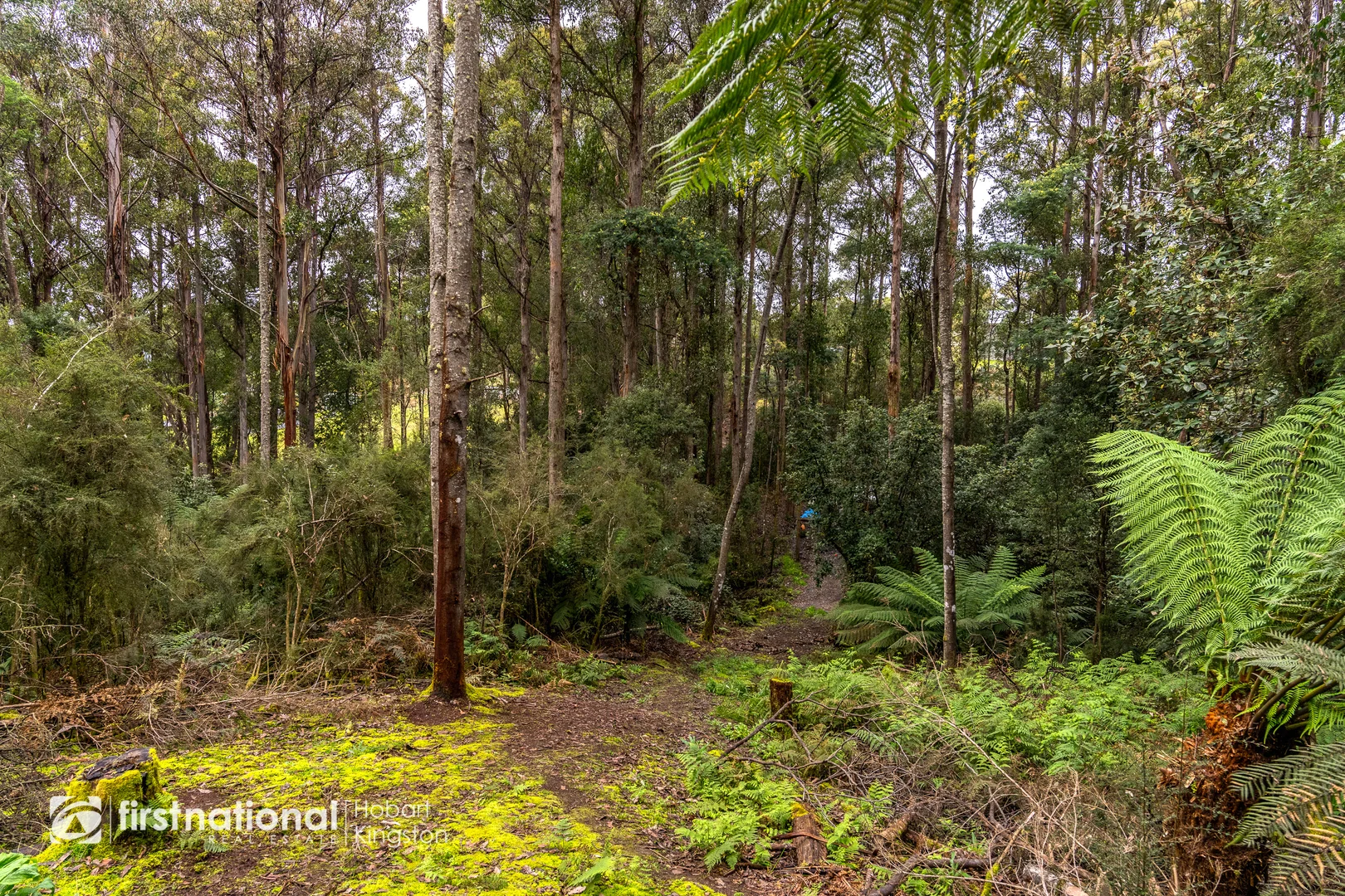 Additional image 6 of 240 Watsons Road, Kettering TAS 7155