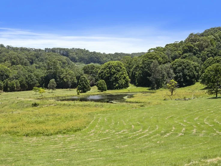 Additional image 13 of 347 Pottsville Road, Sleepy Hollow NSW 2483