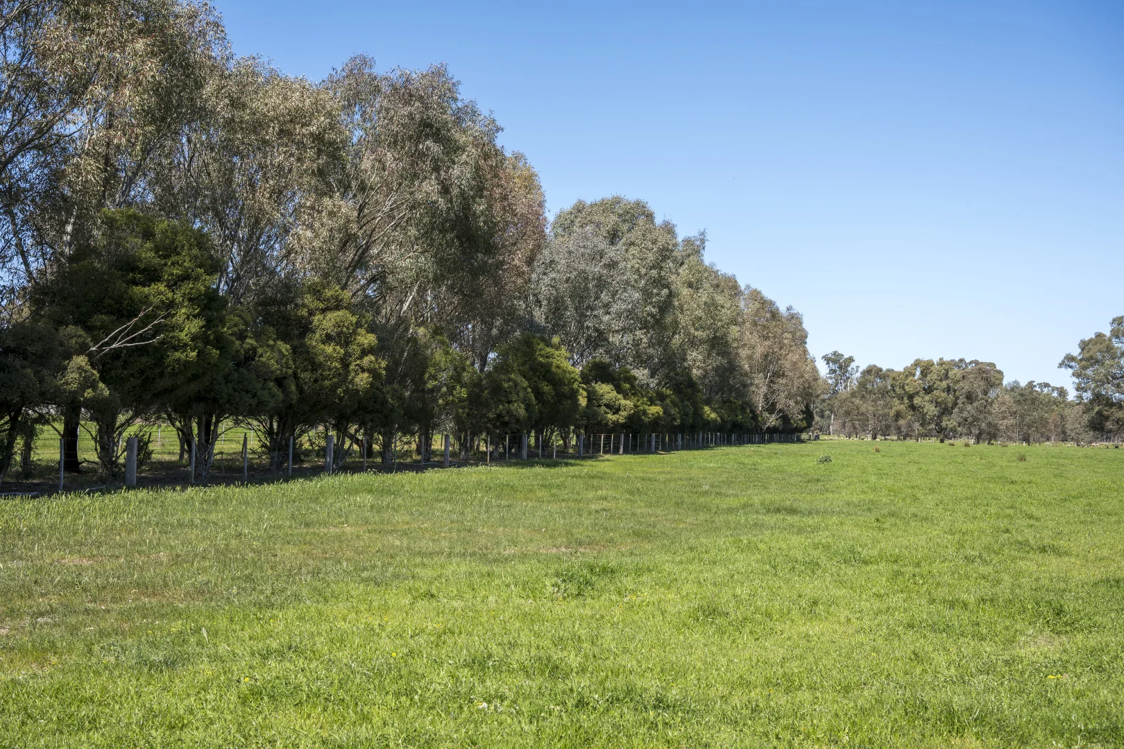 Additional image 7 of CA32 Baddaginnie-Benalla Road, Benalla VIC 3672