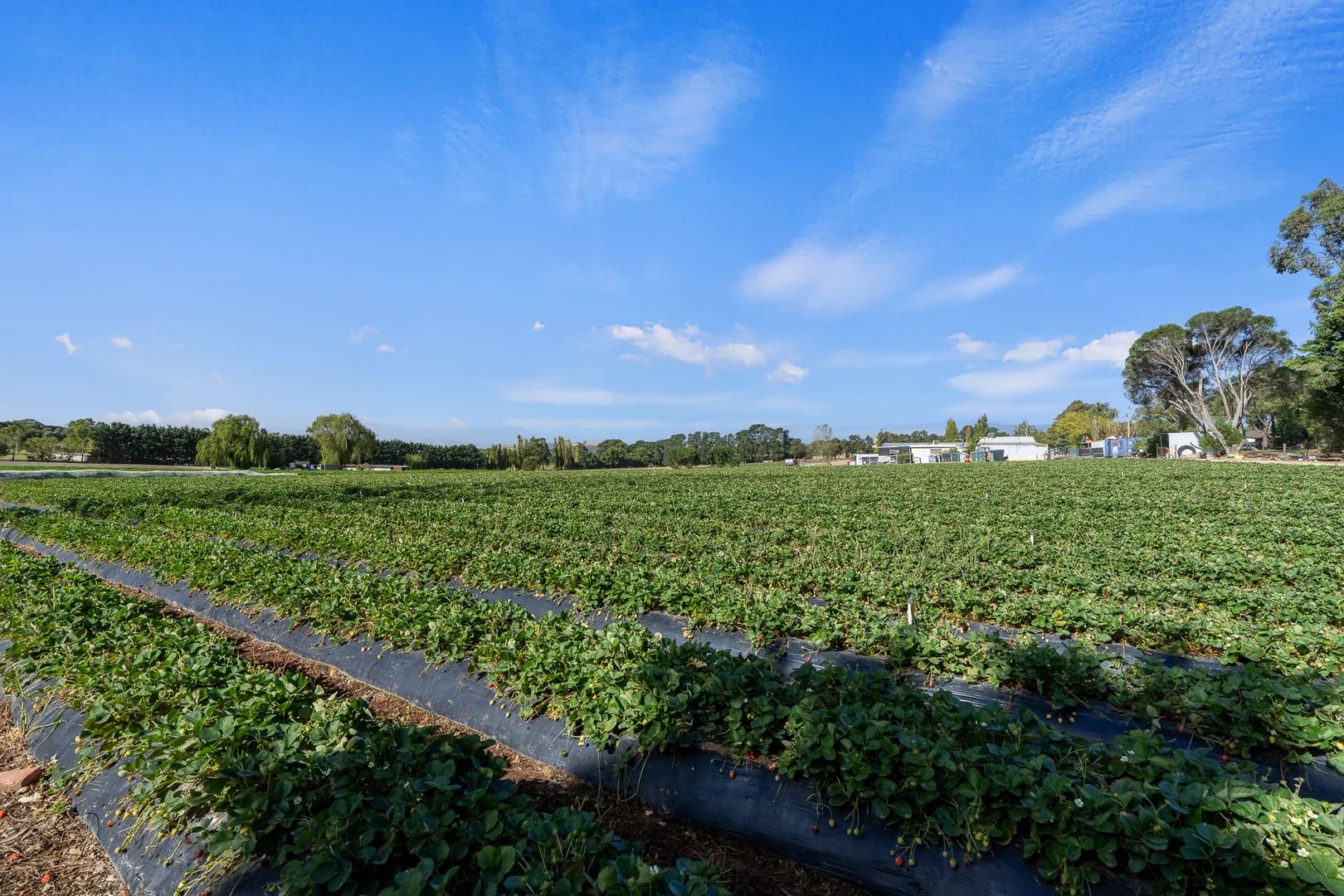 Additional image 4 of 11 Killara Road, Coldstream VIC 3770