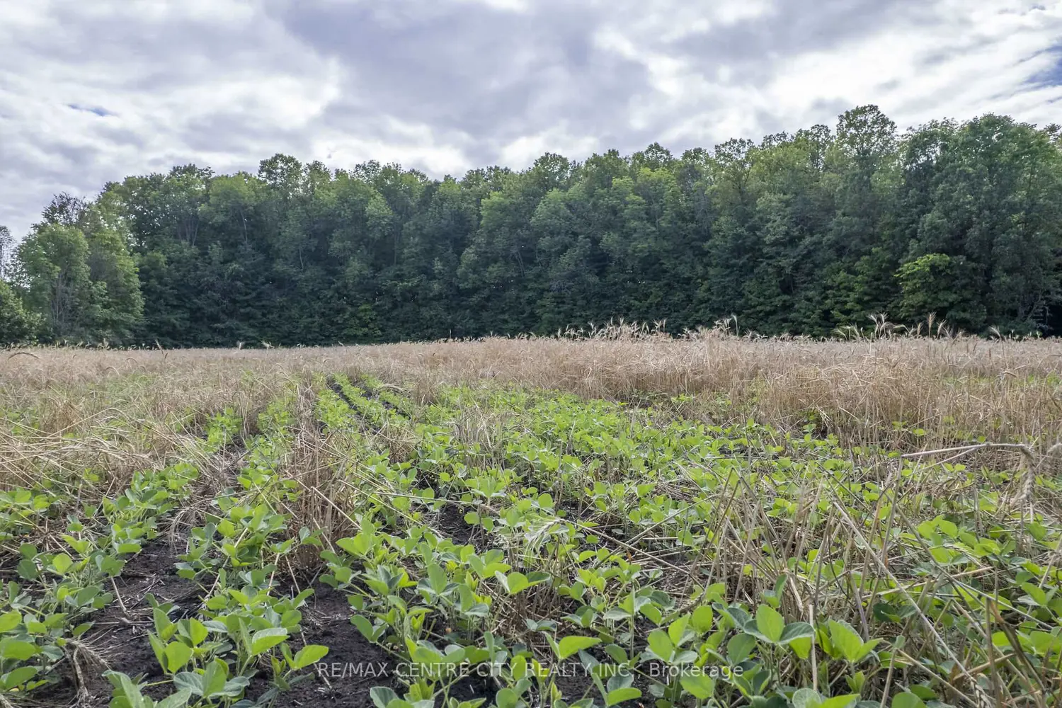 Additional image 13 of Pt Lts 38 & 39 Conc 9