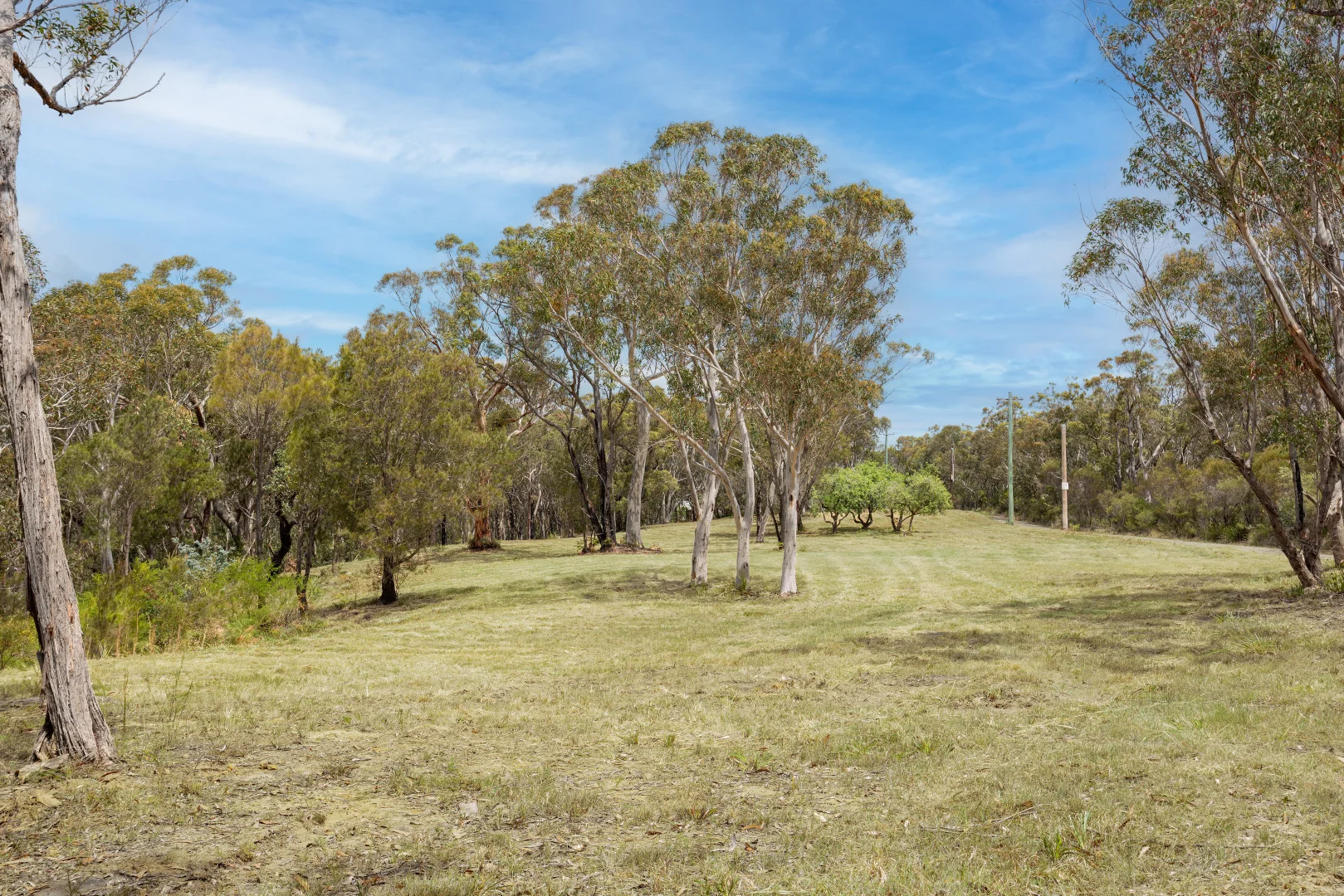 Additional image 4 of 135 - 171 Park Road, Woodford NSW 2778