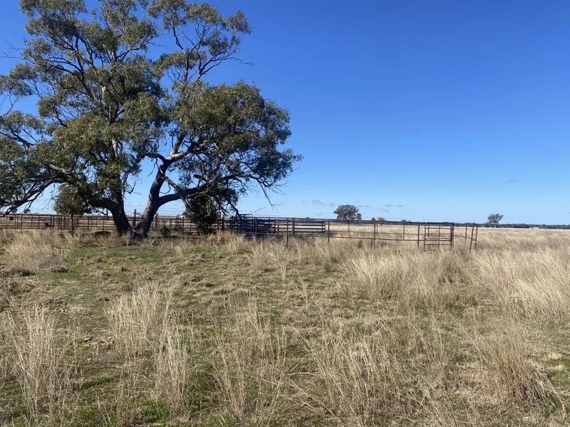 Additional image 9 of 382 Jones Lane, Condobolin NSW 2877
