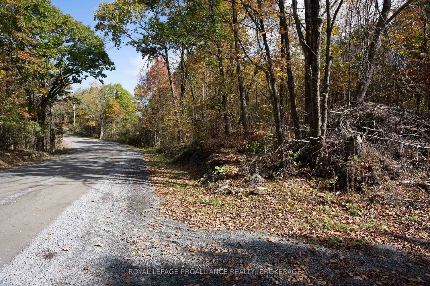 Additional image 6 of Pt Lts 12 & 13 Devil Lake Road