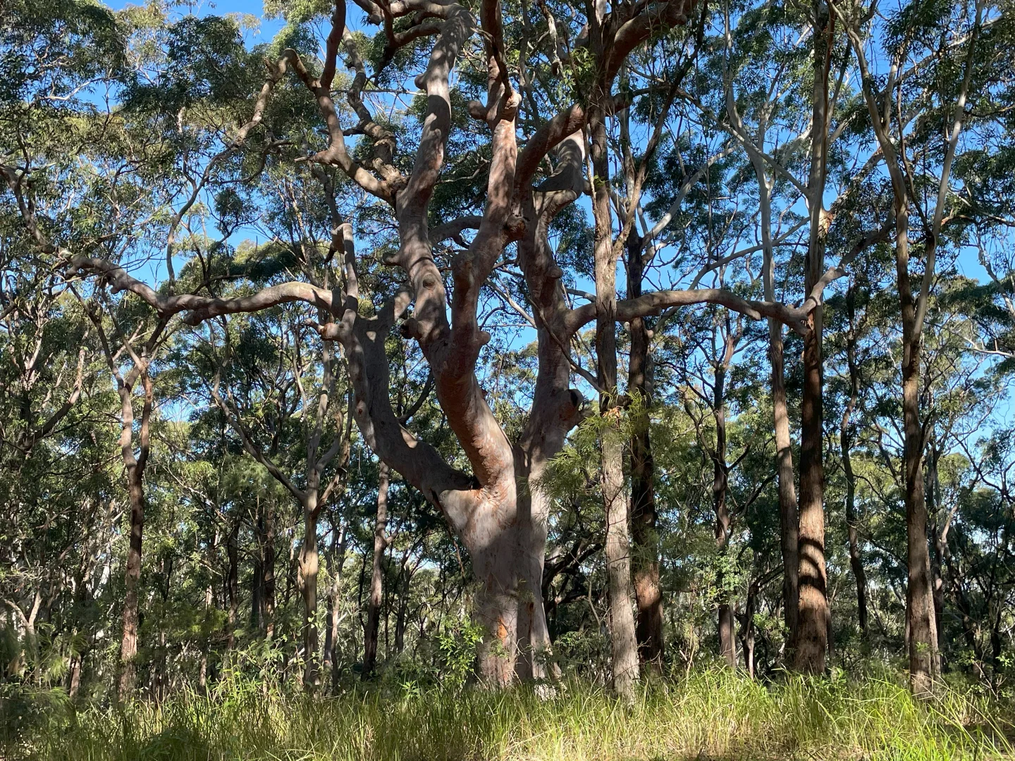 Additional image 6 of 20 James Norton Road, Bensville NSW 2251