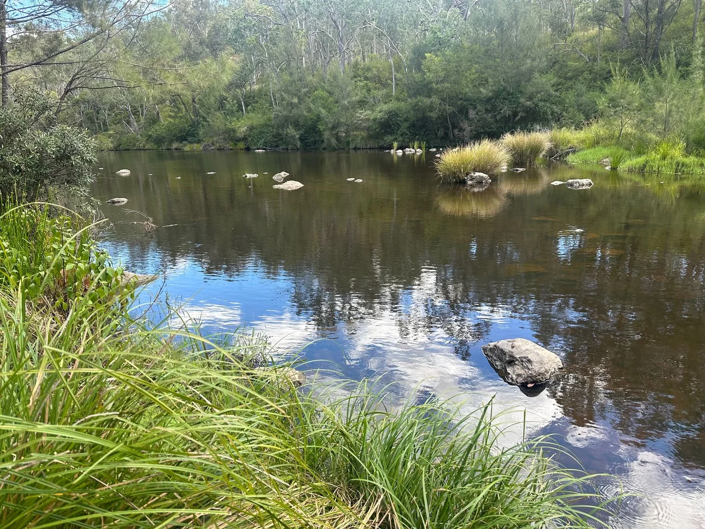 Additional image 13 of Lot 16 Bonner Road, Rivertree NSW 2372