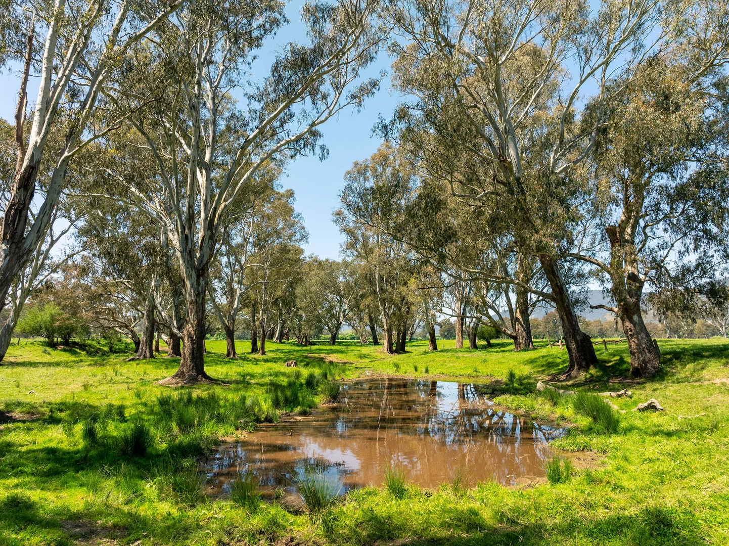 Additional image 17 of 1240 Goulburn Valley Highway, Thornton VIC 3712