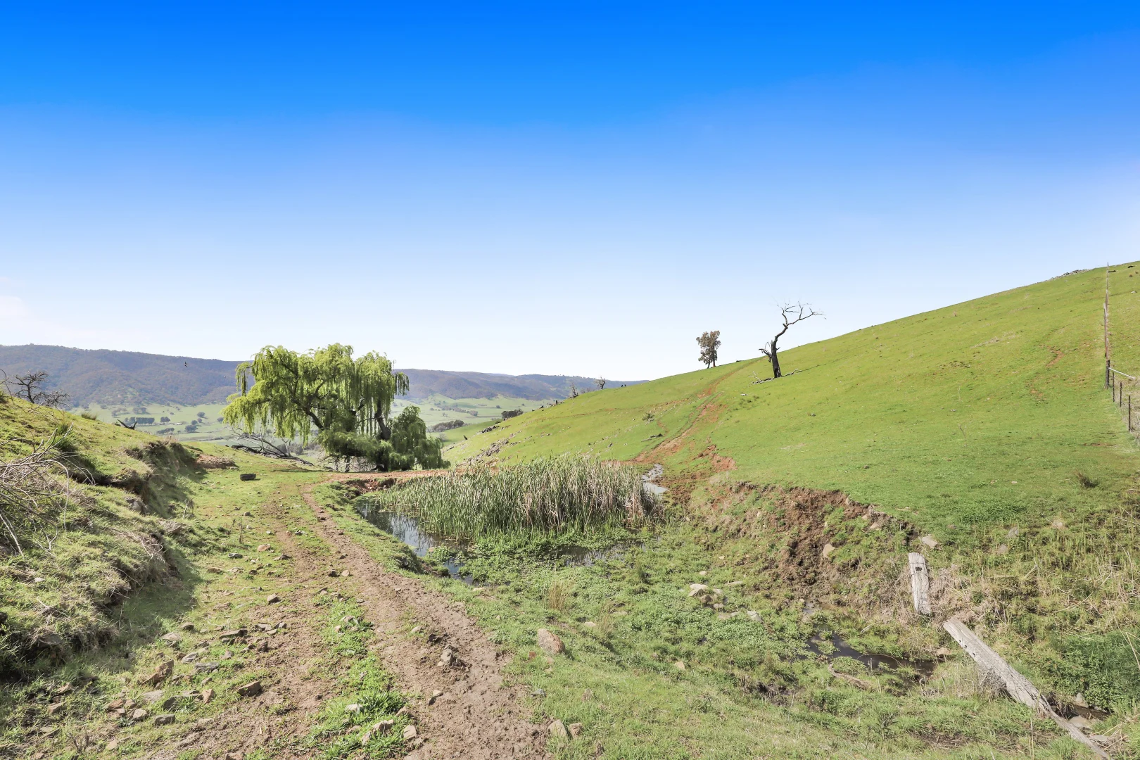 Additional image 11 of 3 West Gilmore Road, Tumut NSW 2720
