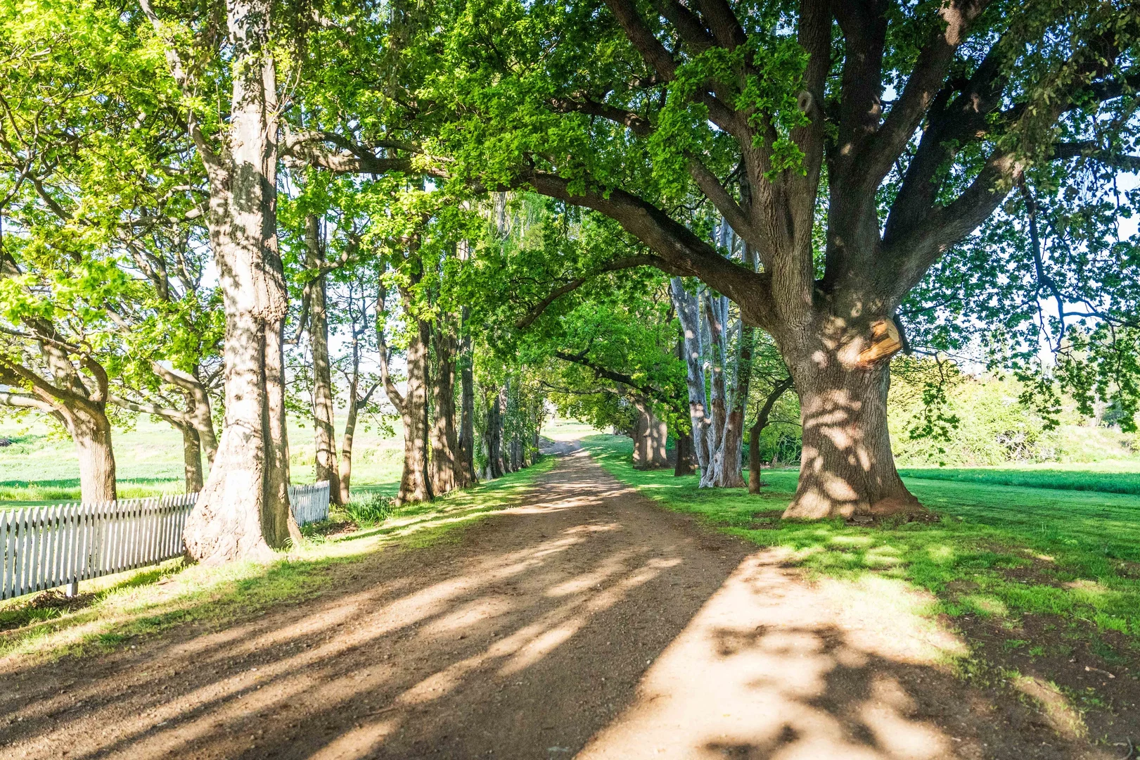 Additional image 19 of 759 Glenora Road, Plenty TAS 7140