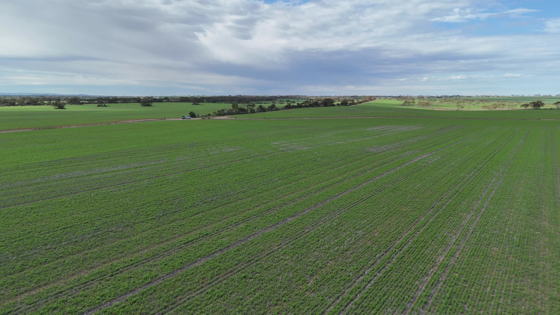 Additional image 5 of 110 Rodda Rd, Boors Plain SA 5554