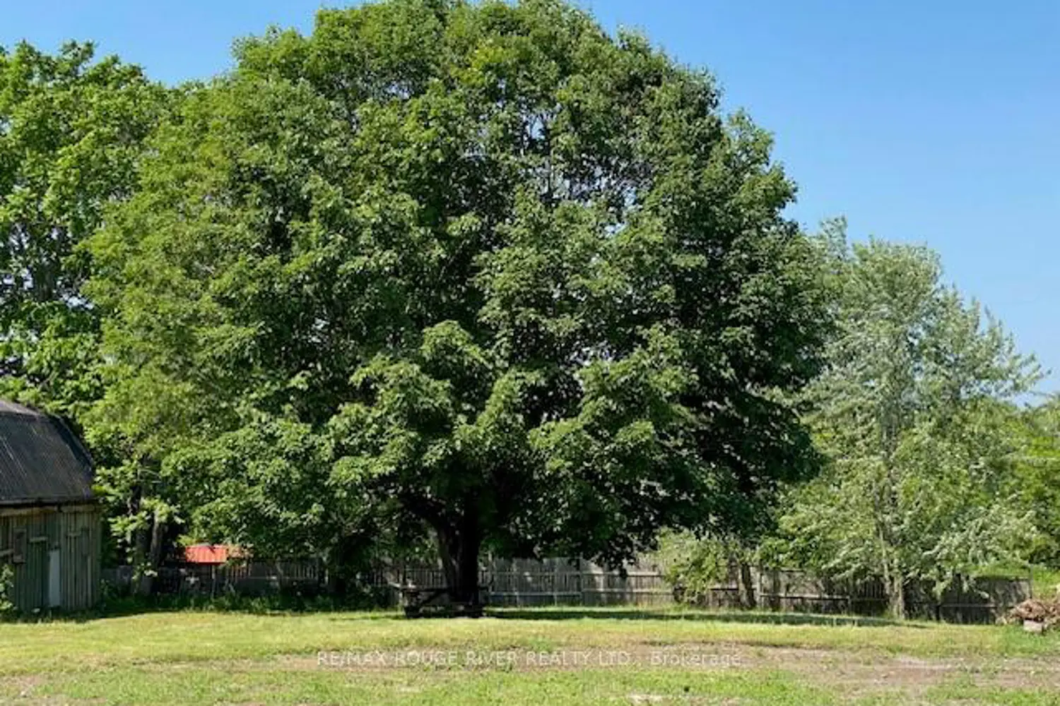 Part #2 Ontario Street