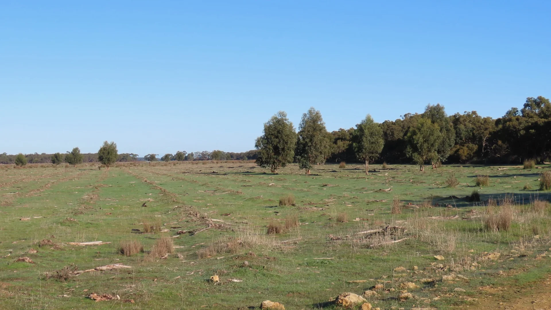 Additional image 5 of 225 Coles-Killanoola Road, Coles SA 5272