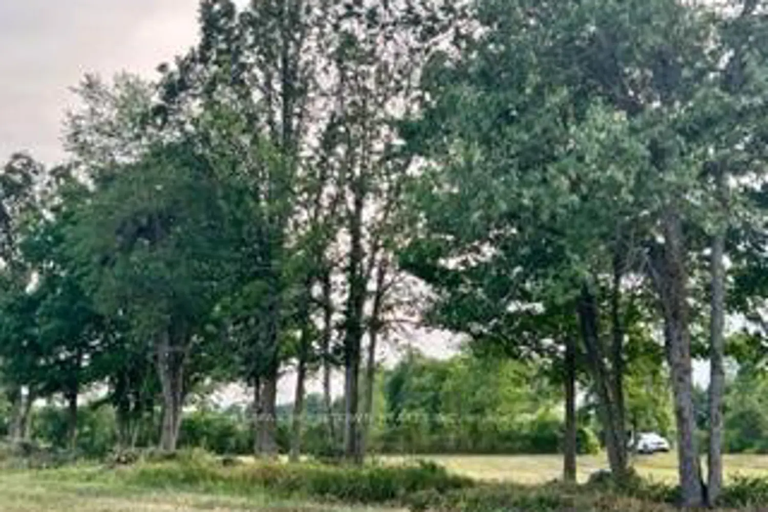 Additional image 16 of 0 Kitley Line 8 Road