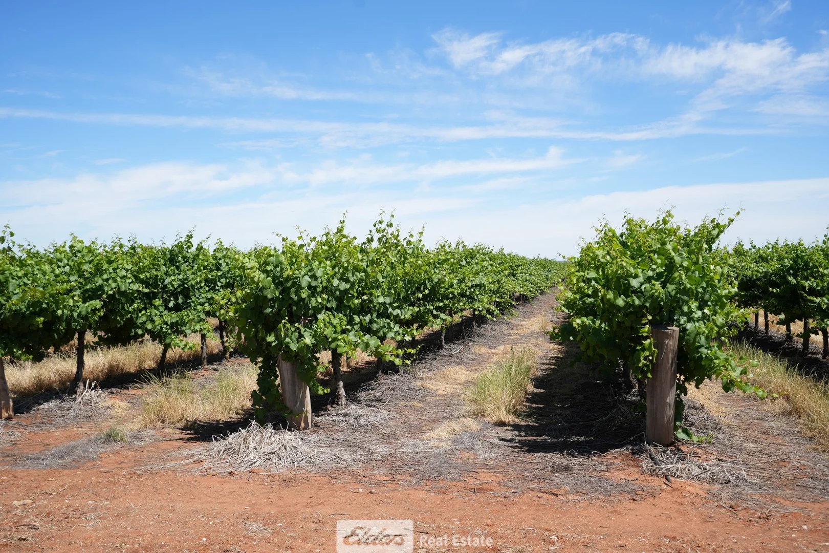 Additional image 6 of 1489 McDonough Road, Yenda NSW 2681