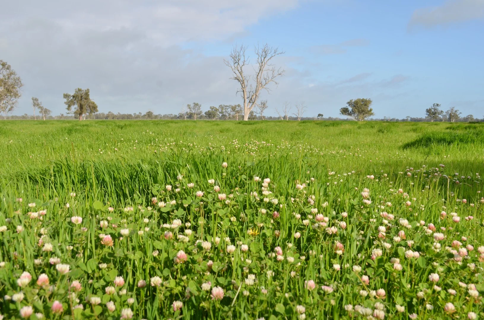 1898 Patyah Road, Edenhope VIC 3318