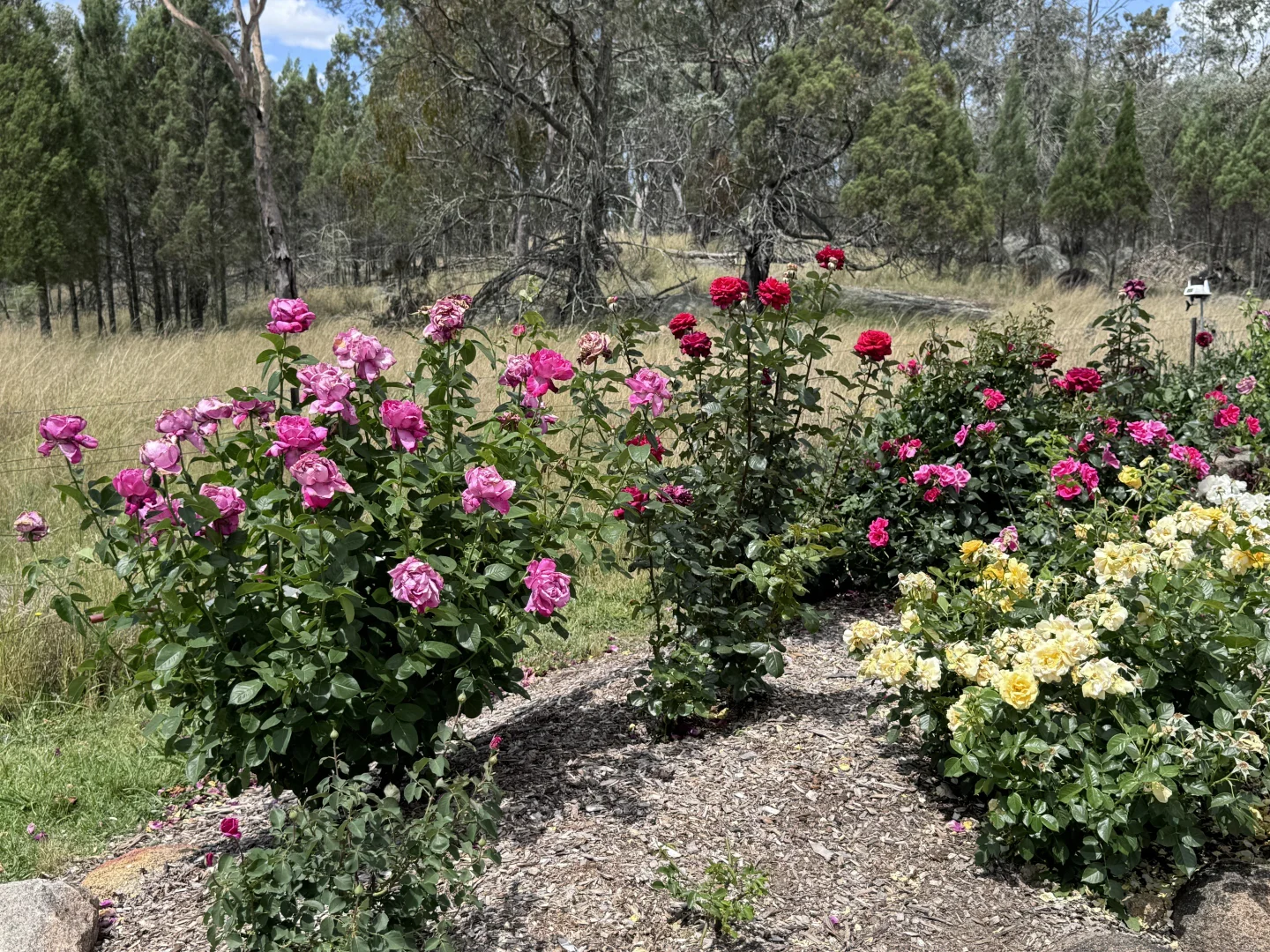 Additional image 29 of 3910 Bundarra Rd, Inverell NSW 2360