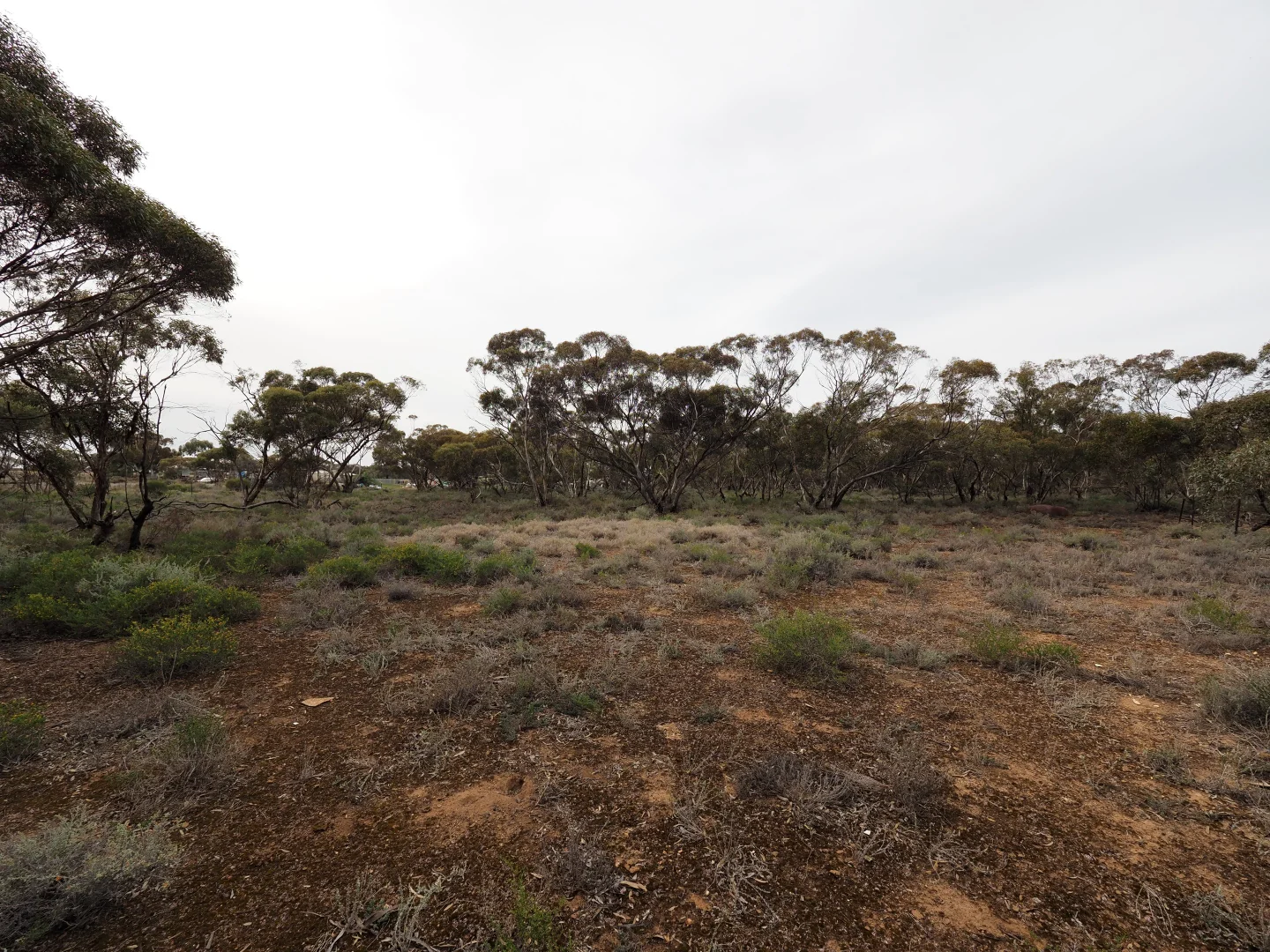 Additional image 10 of Lots 1-6, Towns Street, Chillingollah VIC 3585