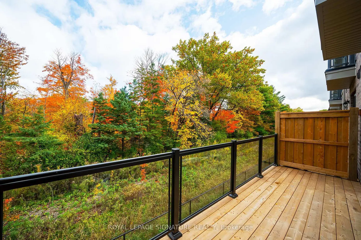 Additional image 14 of 13 Folcroft Street