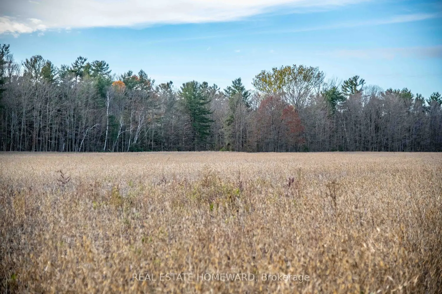 Additional image 2 of 4856 Cold Springs Camp Road