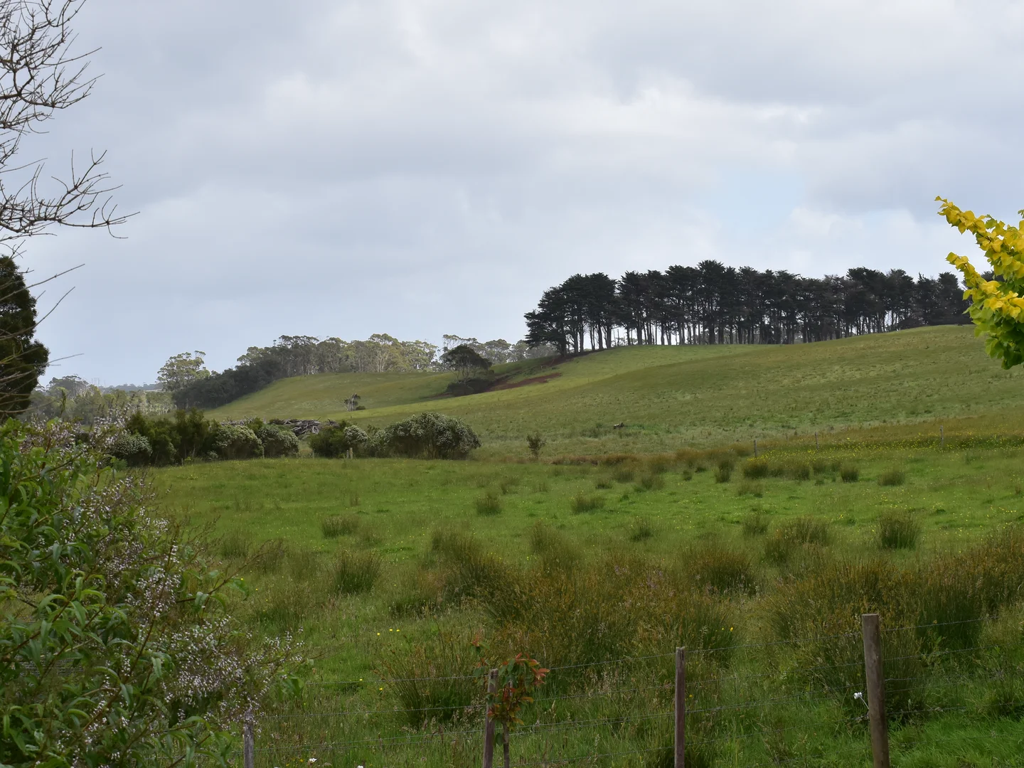 Additional image 18 of 822 Mengha Road, South Forest TAS 7330