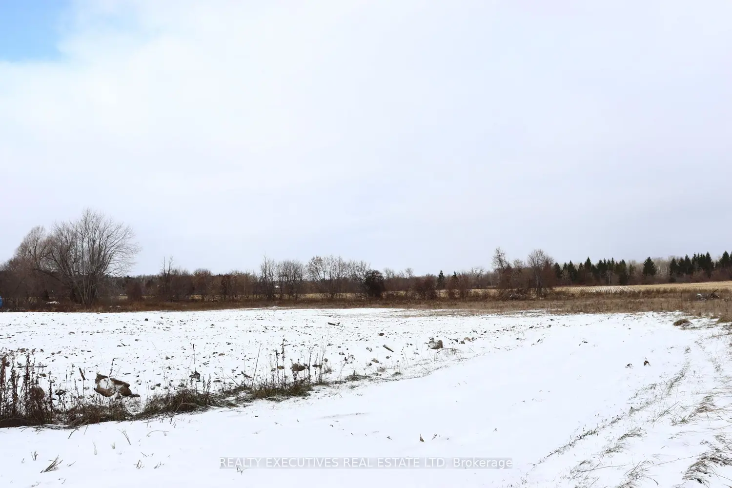 Additional image 14 of 10569 Loughlin Ridge Road