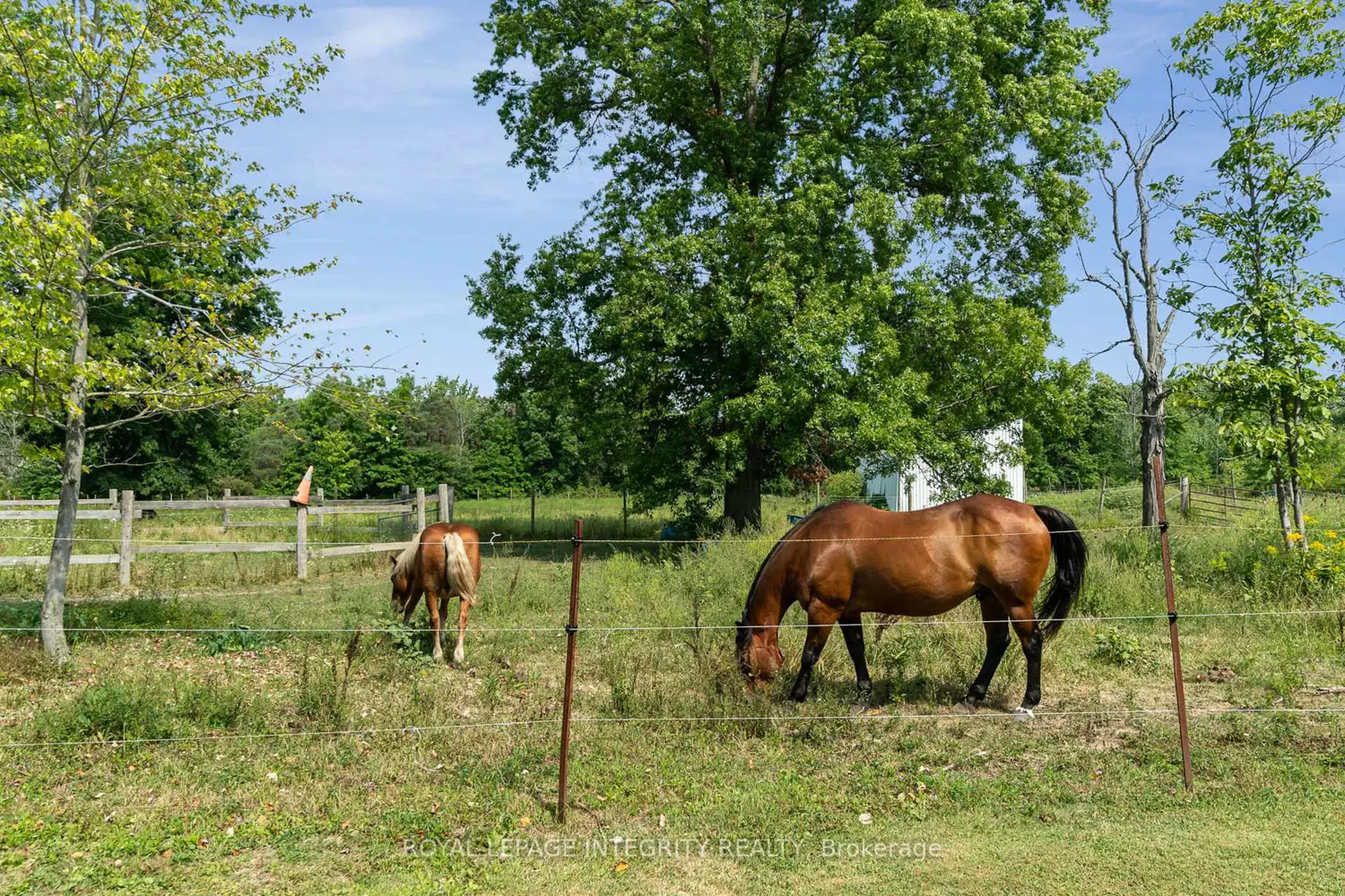 Additional image 14 of 5801 Bossert Road