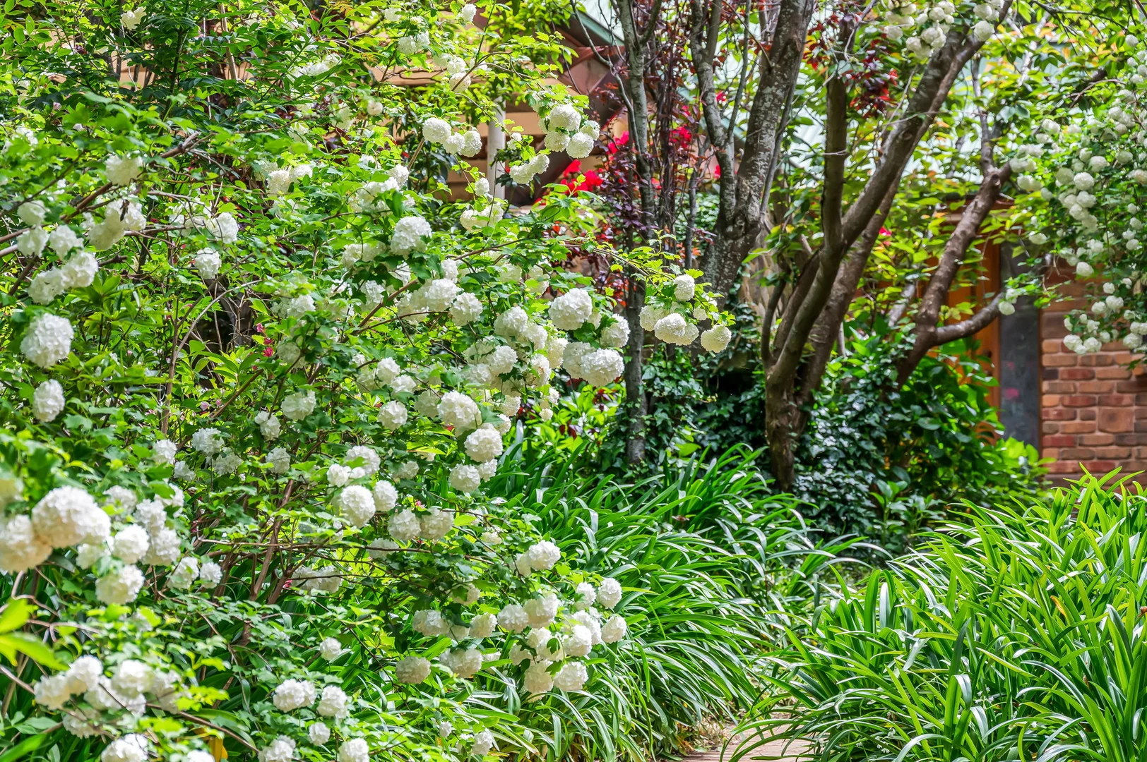 Additional image 39 of 32 Drivers Road, Summertown SA 5141