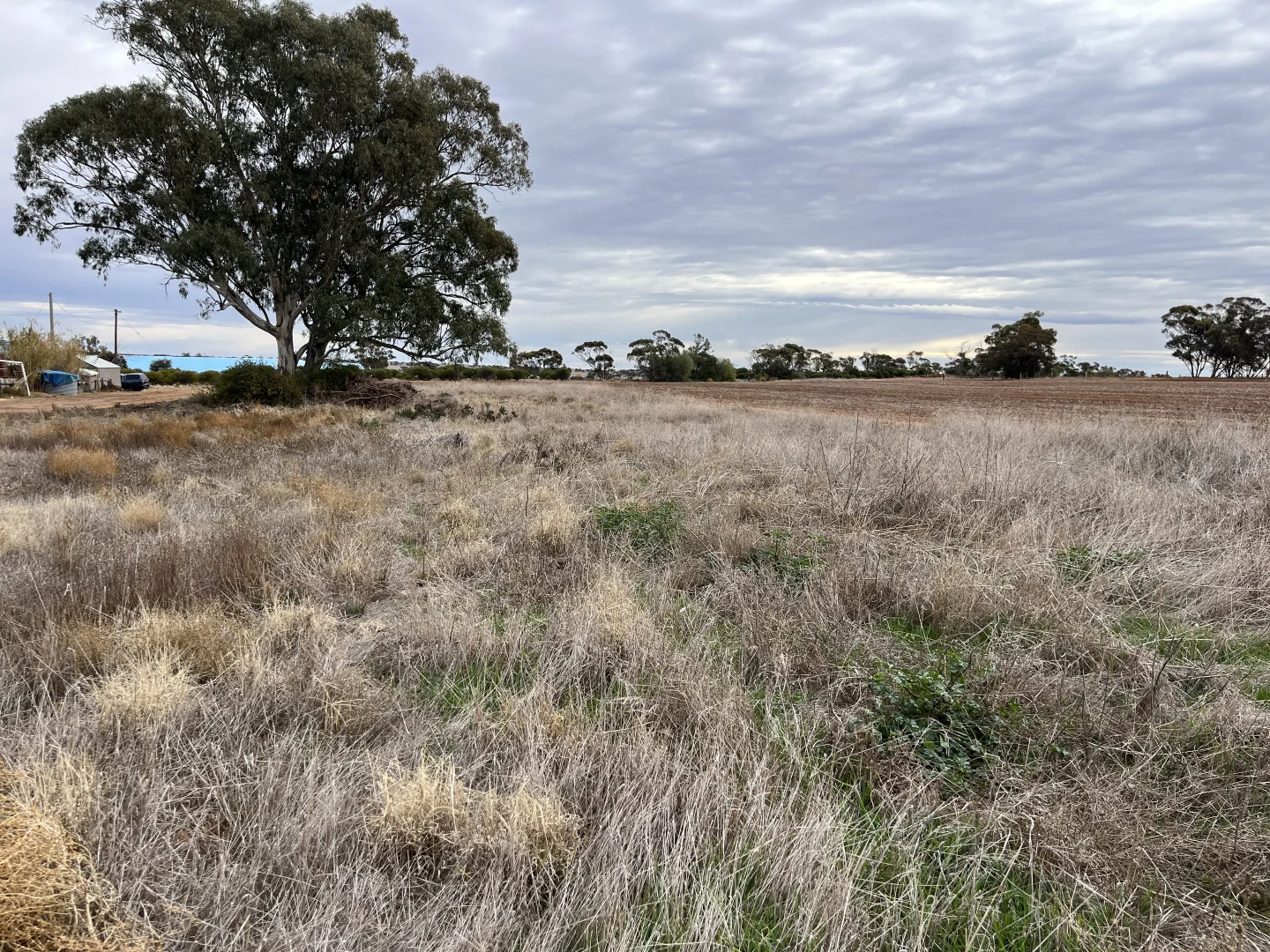 Additional image 2 of Railway Cres, Woomelang VIC 3485