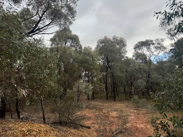 Additional image 21 of 6 Old Boort Road, Wedderburn VIC 3518