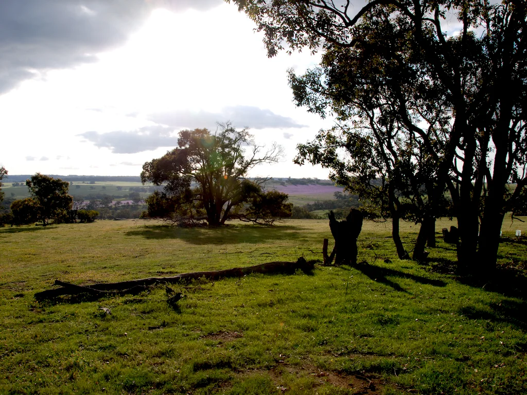 Additional image 32 of Lot 12 Young Road, Gwambygine WA 6302