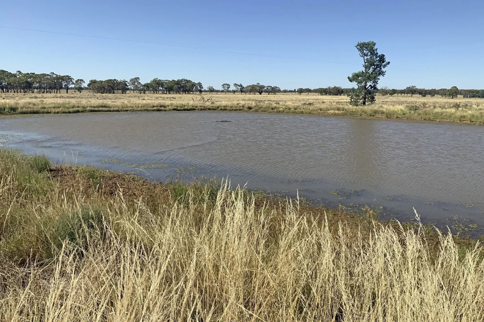 703 Yethera Road, Tullamore NSW 2874