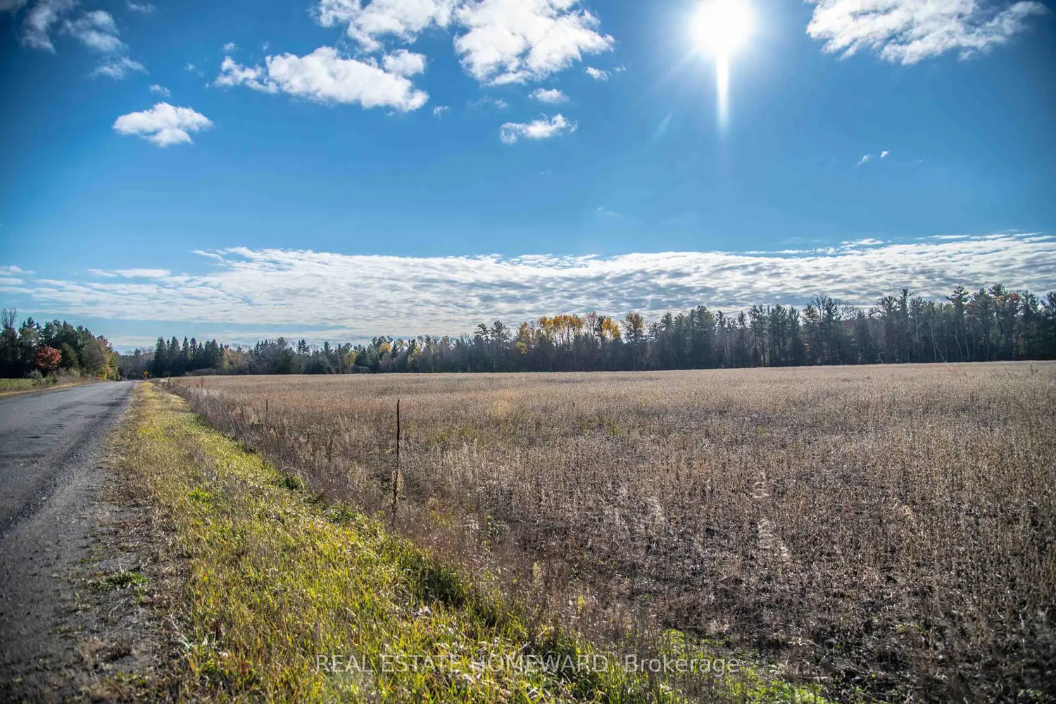 Additional image 3 of 4856 Cold Springs Camp Road