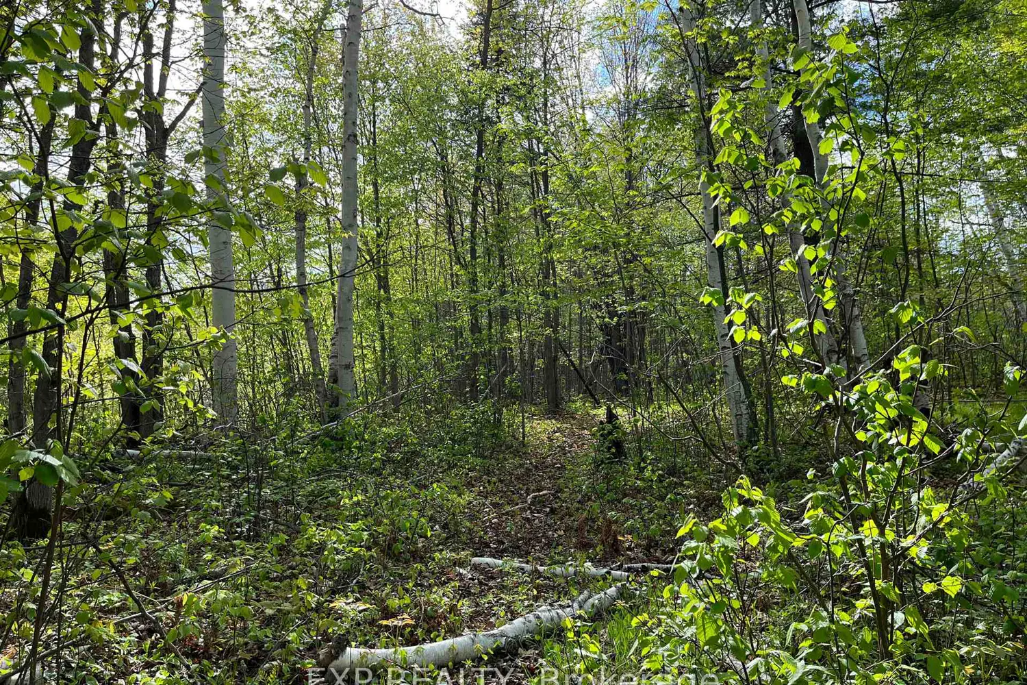 Additional image 4 of Lot 4 Sandy Shores Trail