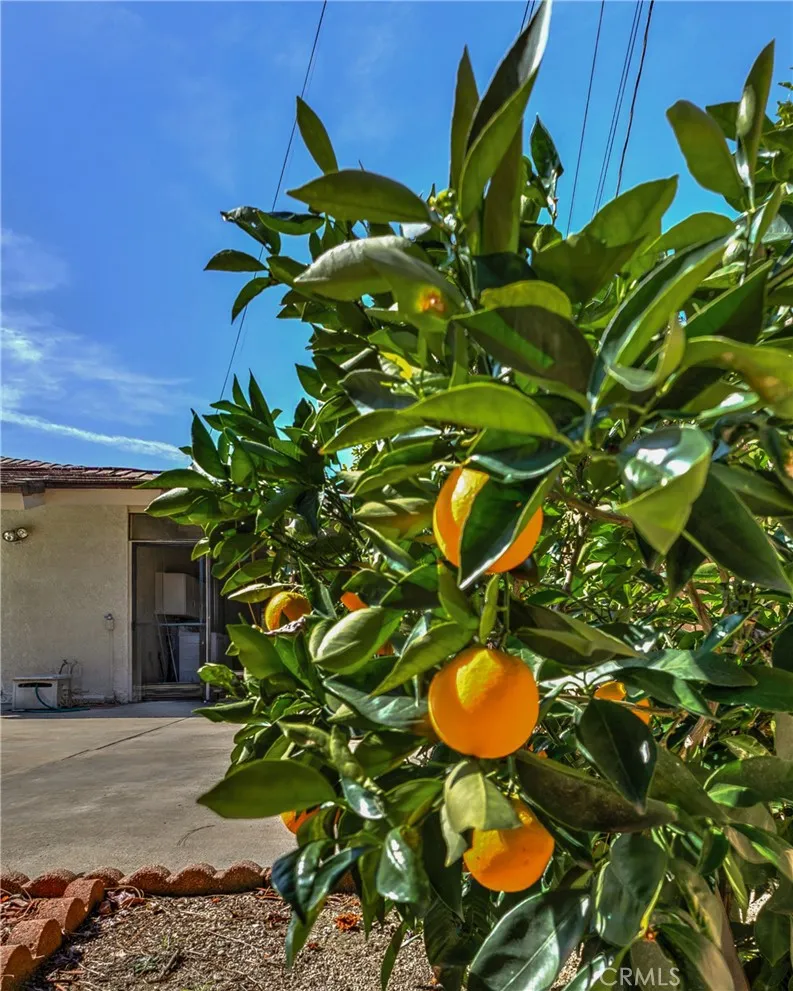 Additional image 66 of 1100 S 9th Avenue, Arcadia, CA 91006