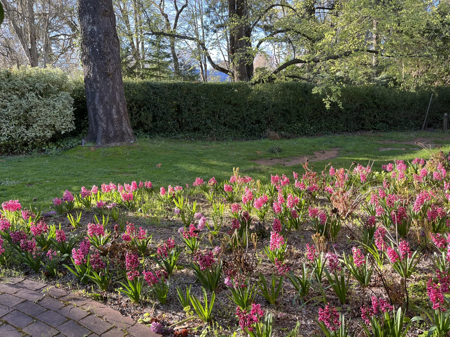 Additional image 28 of 805 Mount Macedon Road, Mount Macedon VIC 3441