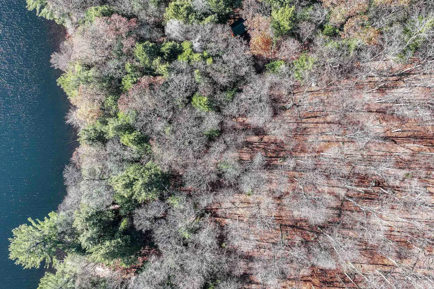 Additional image 5 of 0 Tedious Lake Wao