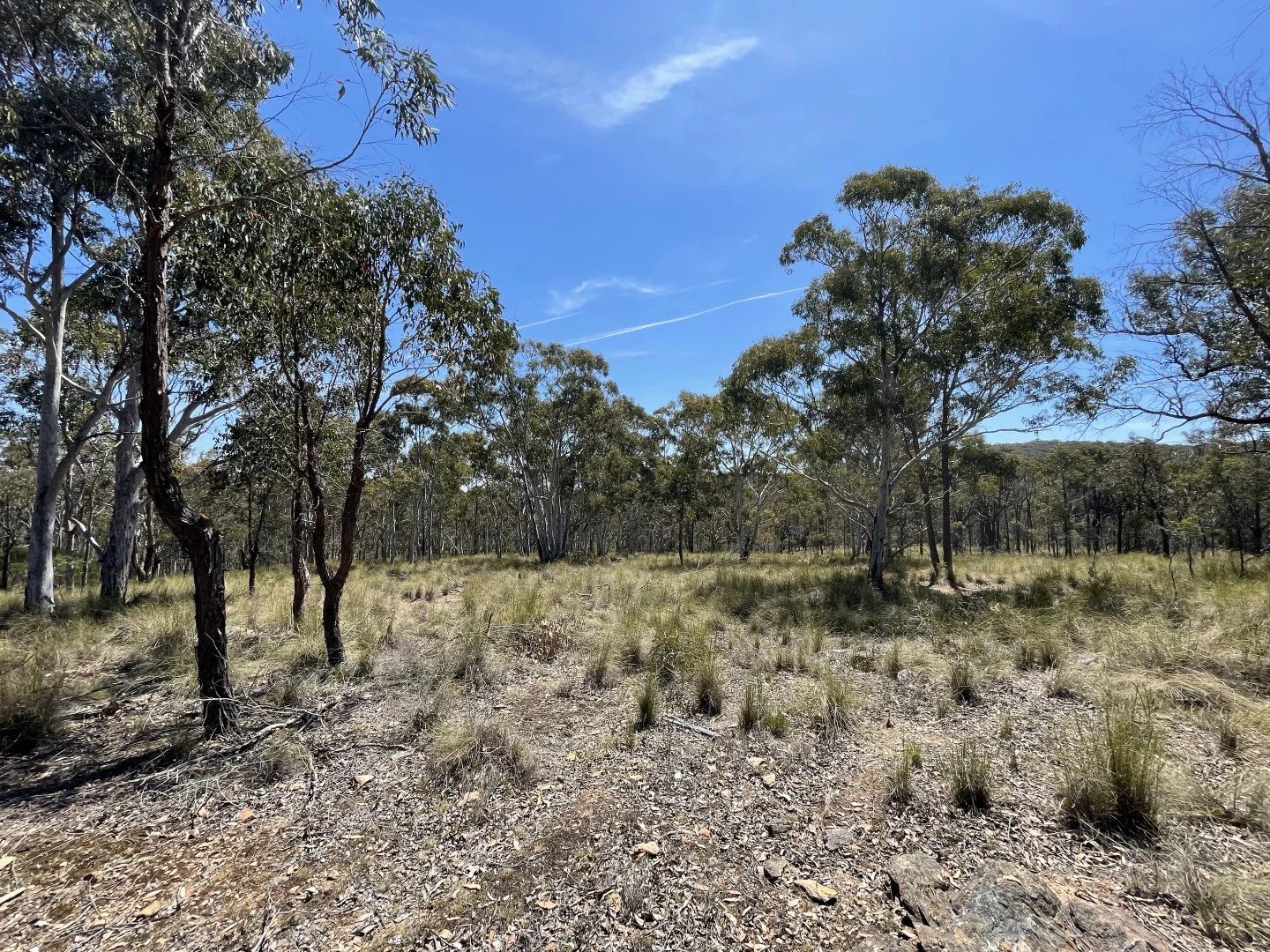 Additional image 7 of 925 Marked Tree Road, Gundaroo NSW 2620