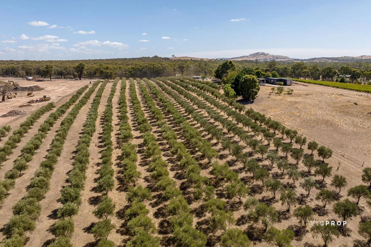 3 Lewis Road, Ladys Pass VIC 3523