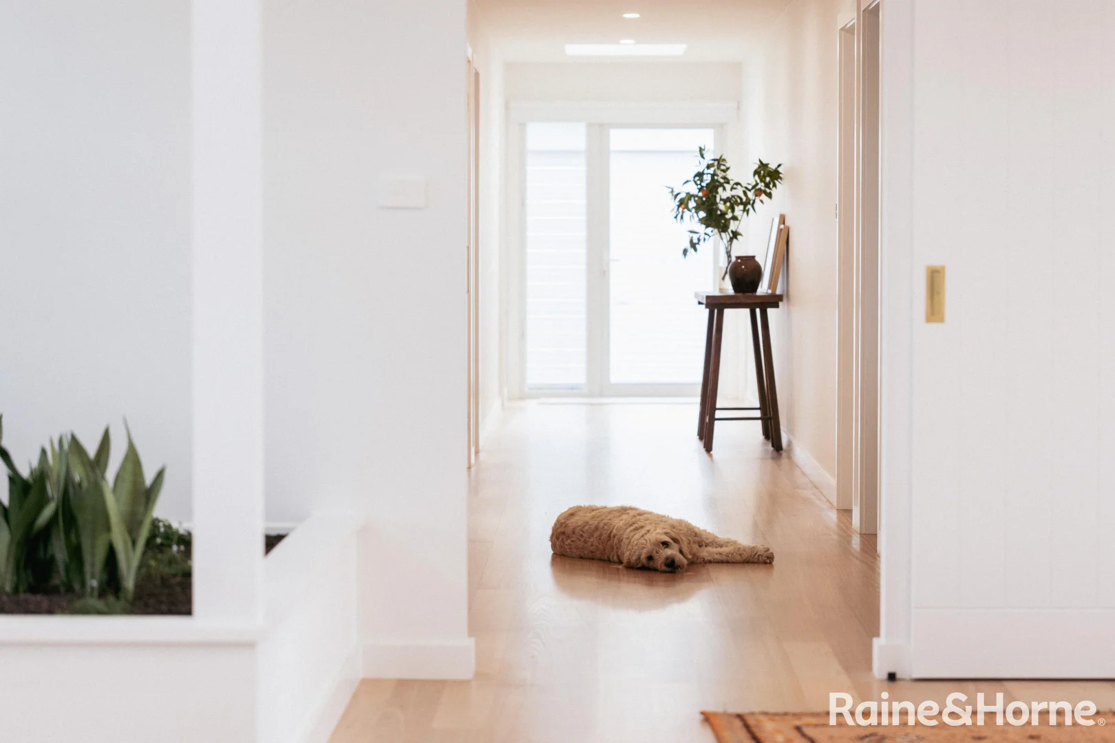 Additional image 11 of 34D Woodstock Road, Woodstock NSW 2538