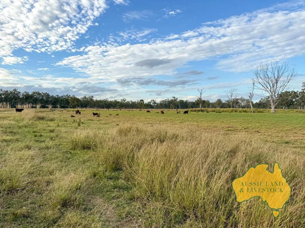 Additional image 55 of 8 SCREENING PLANT ROAD, Cynthia QLD 4627