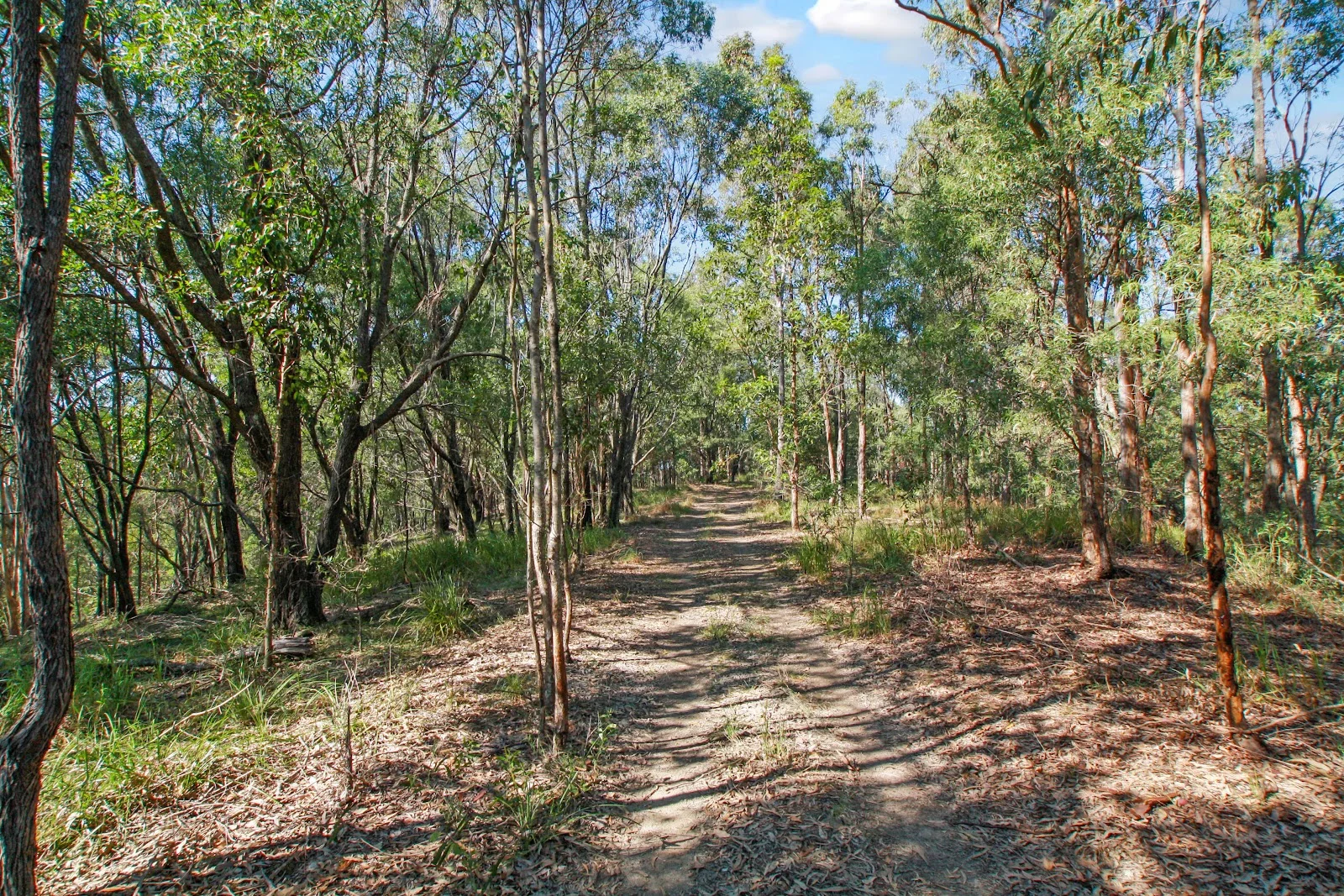 Additional image 22 of 94 Holyrood Road, Maudsland QLD 4210