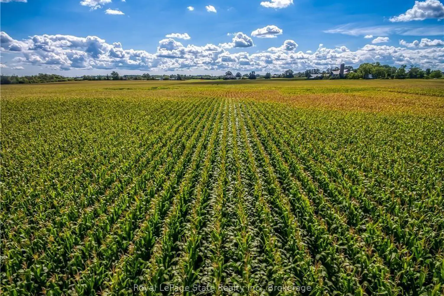 Additional image 12 of 406 Tapleytown Road