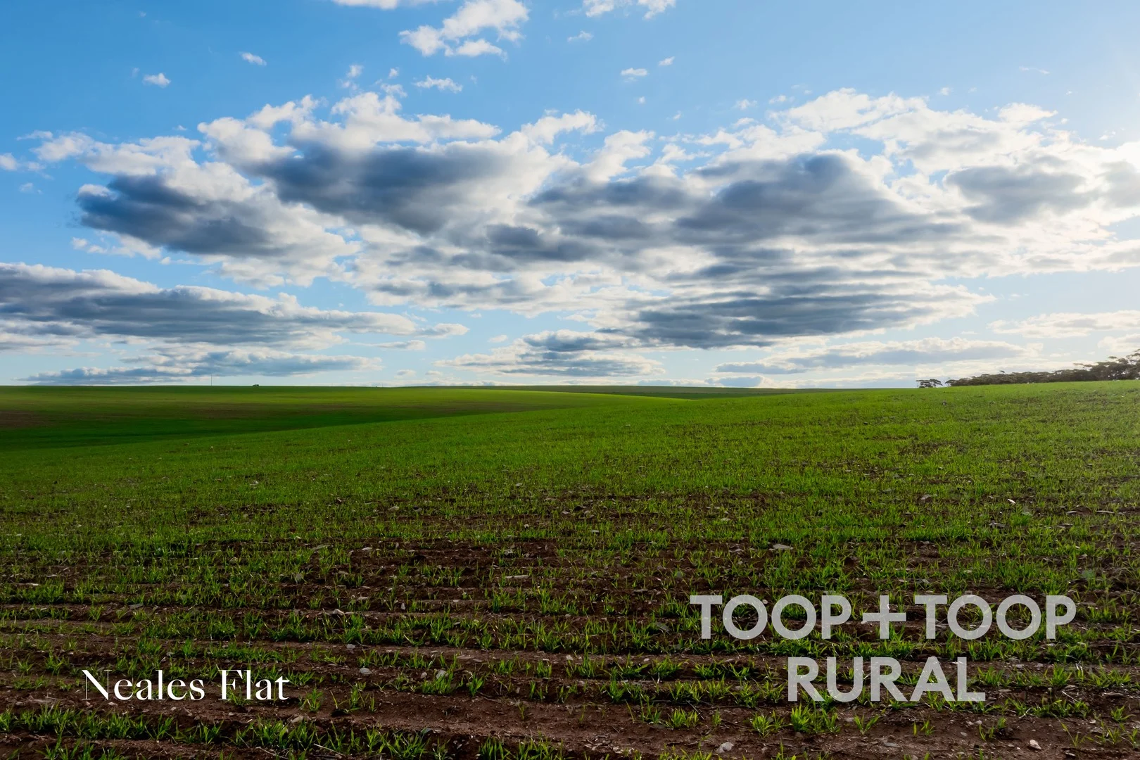 332 Angle Road, Brownlow SA 5374